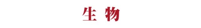 高一高二期末考试掌握这33个细节，每科多得20分！